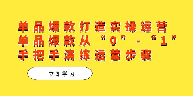 单品爆款打造实操运营，单品爆款从“0”-“1”手把手演练运营步骤